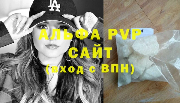 индика Беломорск