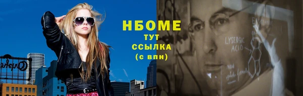 индика Беломорск