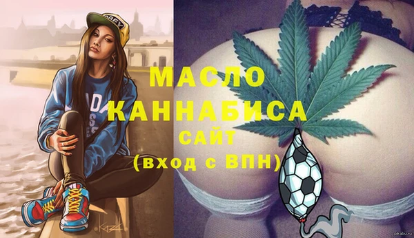 индика Беломорск