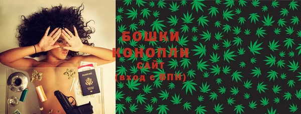 индика Беломорск