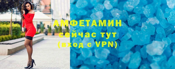 индика Беломорск